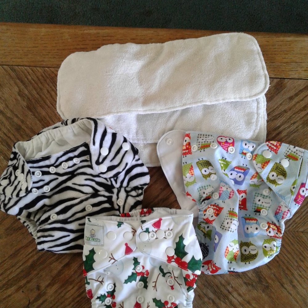 3 cloth diaper covers with inserts.